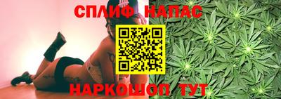 гидропоника Пенза