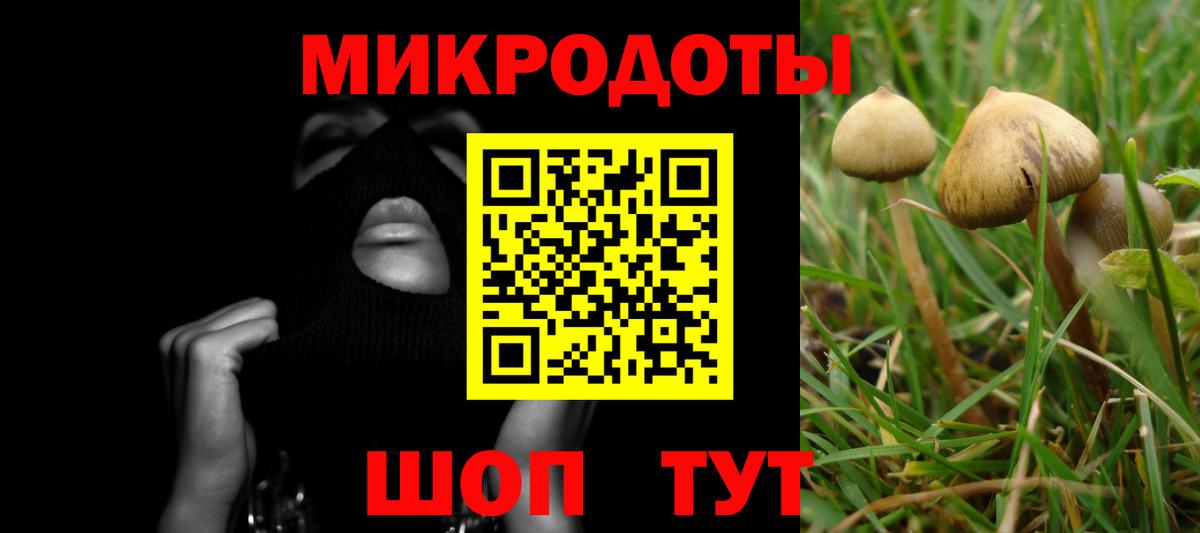 Псилоцибиновые грибы Cubensis  Вход с VPN  Псилоцибиновые грибы GOLDEN TEACHER  Топки 