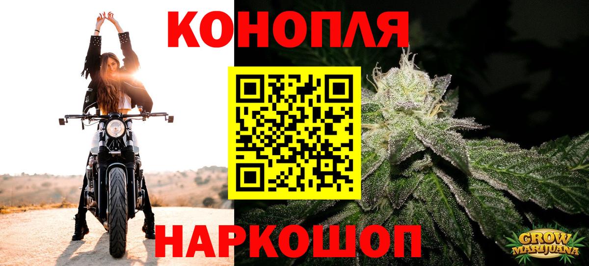 Марихуана сатива Топки